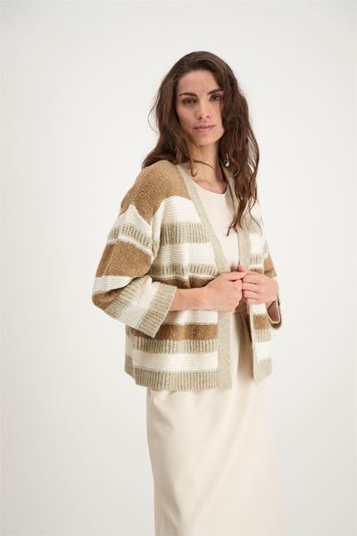 Picture of Cardigan - Signe Nature - 843069 - grège/ecru/beige