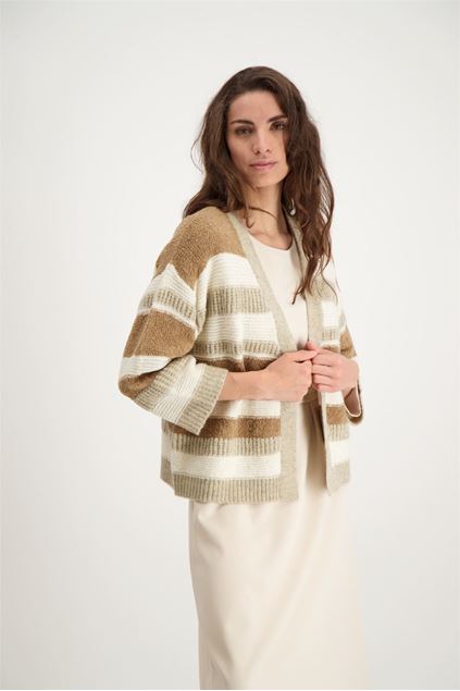 Afbeeldingen van Cardigan - Signe Nature - 843069 - grège/ecru/beige