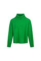 Afbeelding van Pull - Green ICE - Anker - green