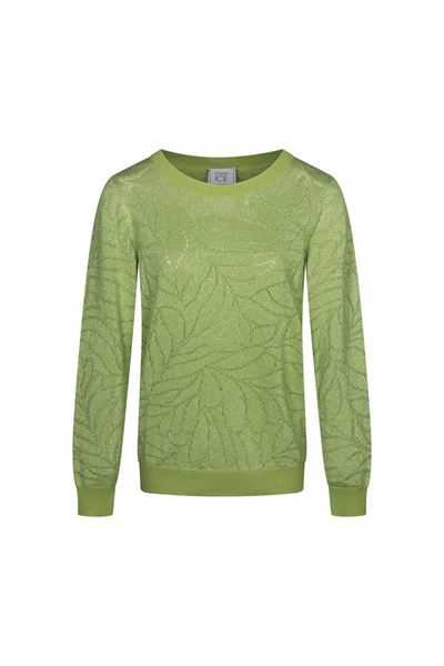 Afbeelding van Pull - Green ICE - Amiensa - pistache