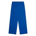 Picture of Broek - Green ICE - Sargus - cobalt