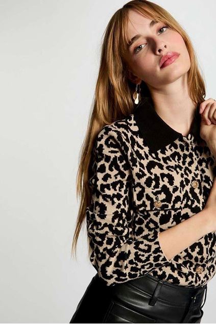 Picture of Blouse - Morgan - Mboleo - beige