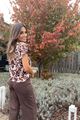 Picture of T-shirt - Amélie & Amélie - New Armenia - choco