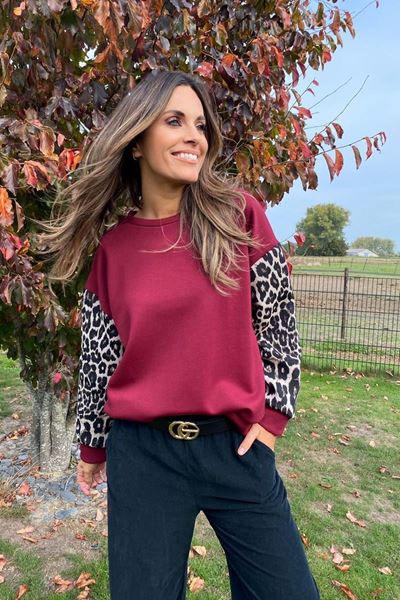 Picture of Sweater - Terra di siena - Bordeaux/leopardw25