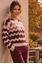 Picture of Pull - Signe Nature - 842234 - aubergine ecru rose