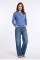 Afbeelding van Pull - Green ICE - Delonix - blue