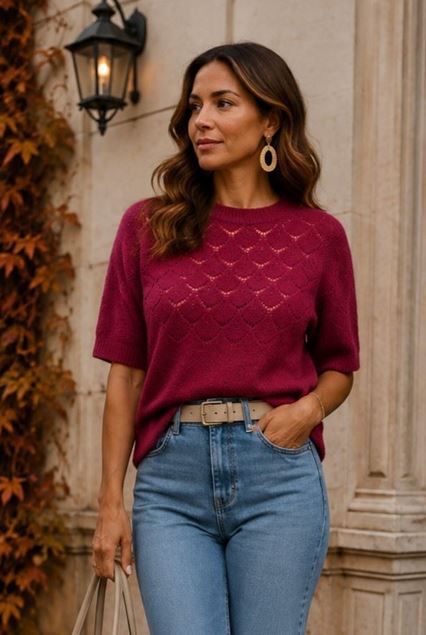 Afbeeldingen van Pull - Terra di Siena - Ajour - bordeaux