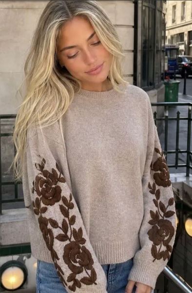 Afbeelding van Pull - JS Millenium - JP-8586 - taupe/choco