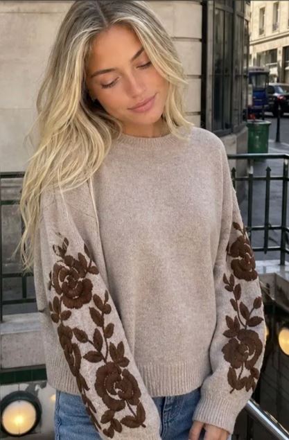 Afbeeldingen van Pull - JS Millenium - JP-8586 - taupe/choco