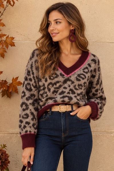 Afbeelding van Pull - JS Millenium - JP-8602 - taupe/wine